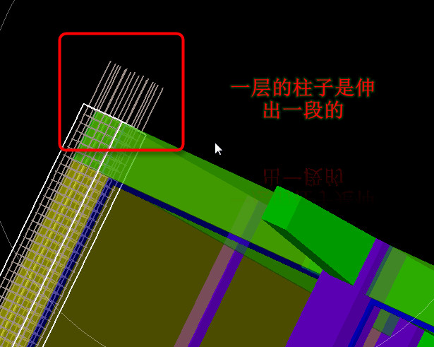 縱筋