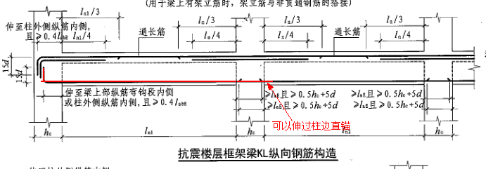 通長筋