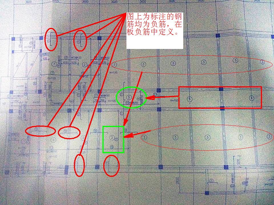 分布筋