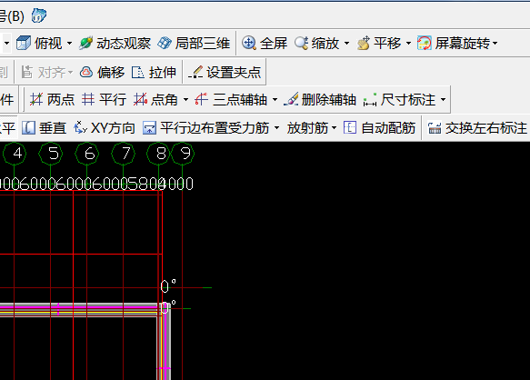 放射筋