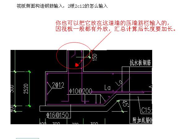 侧面构造钢筋