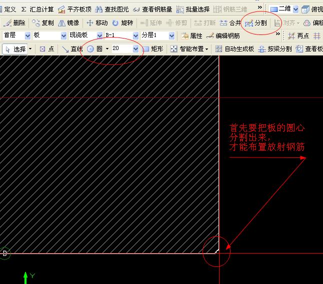 放射筋