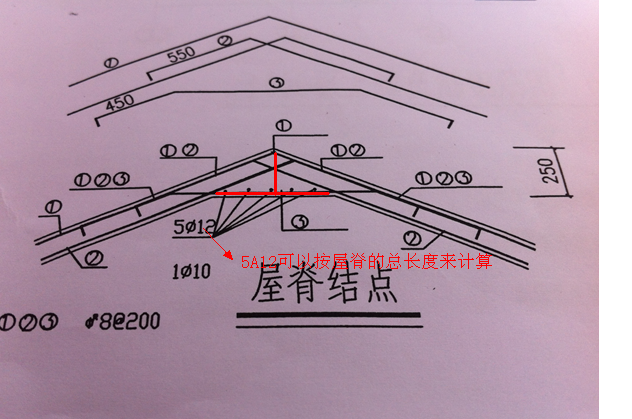 根数