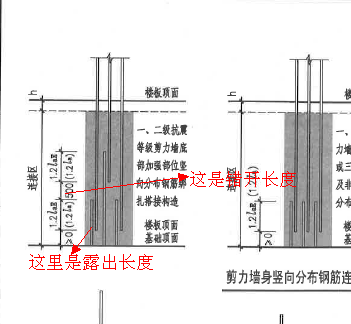 露出長度
