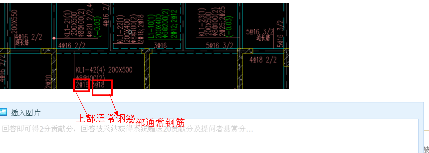 通长筋