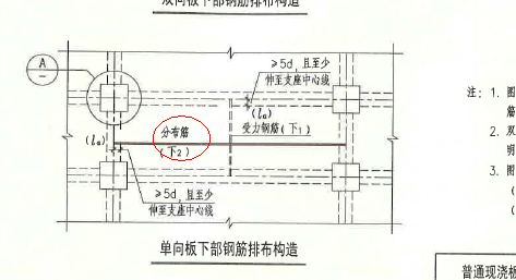 板的分布鋼筋