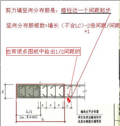 垂直筋