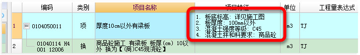 项目特征