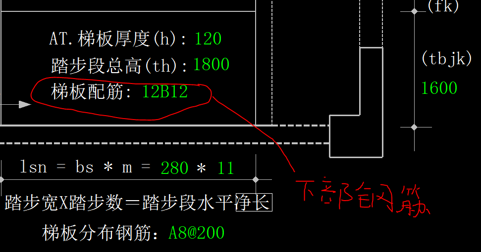 縱筋