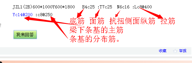 梁上