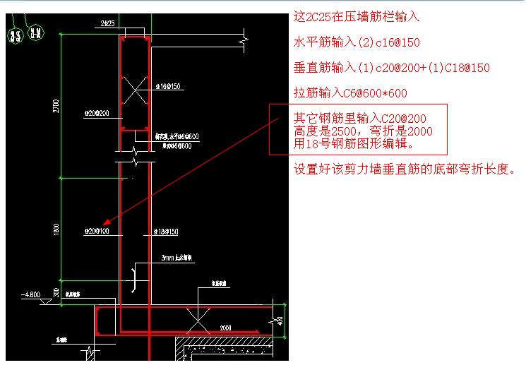 分布筋