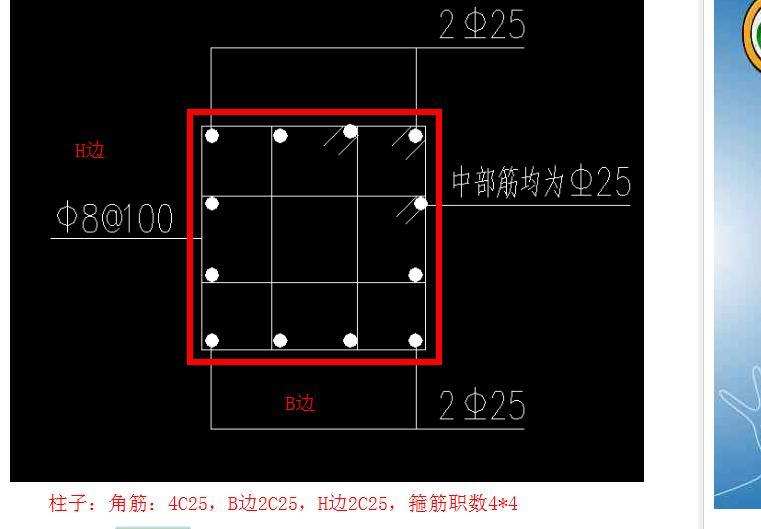 柱子中部筋问题