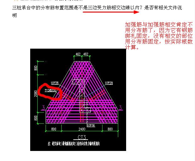 分布筋