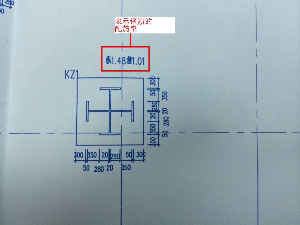 中间那个