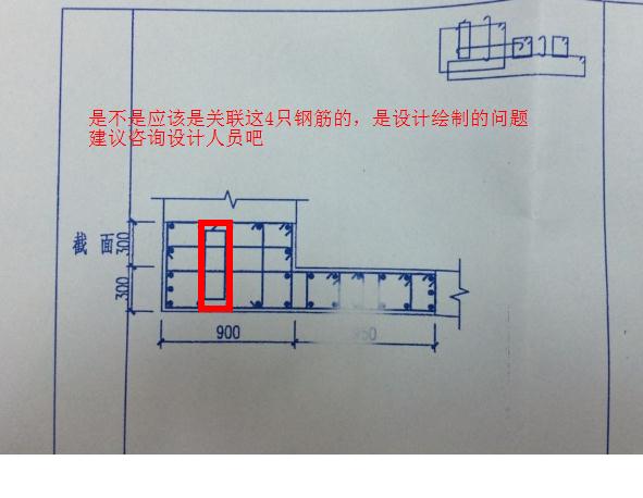 纵筋