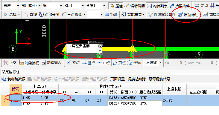 动态观察