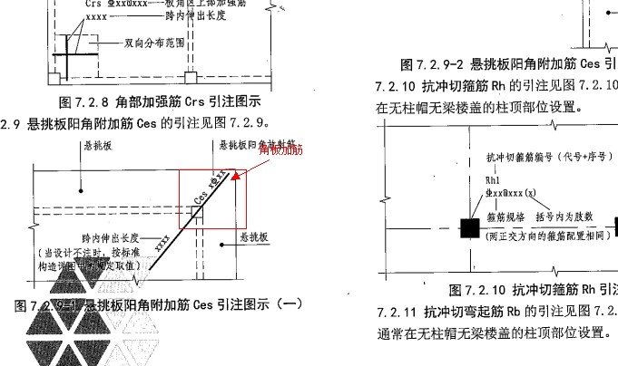 放射筋