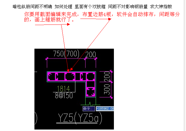 双肢箍