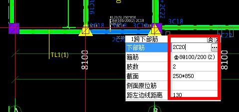 集中标注与原位标注