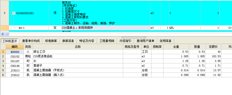 項目特征