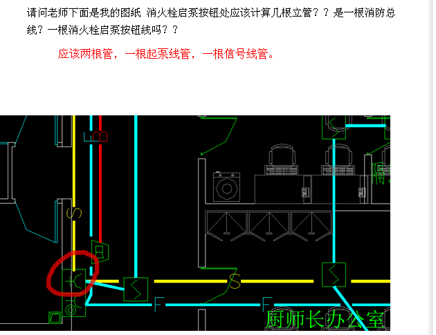 根數