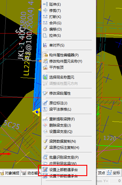 通长筋