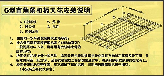 龙骨