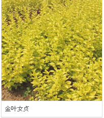 千赢官网首页登录入口服务新干线