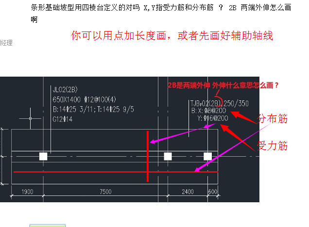 分布筋