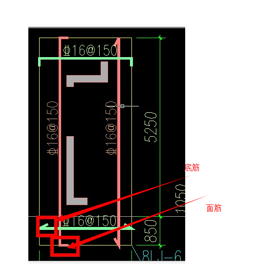 面筋