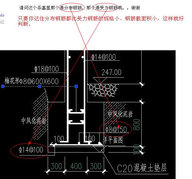 分布钢筋