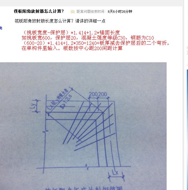 放射筋