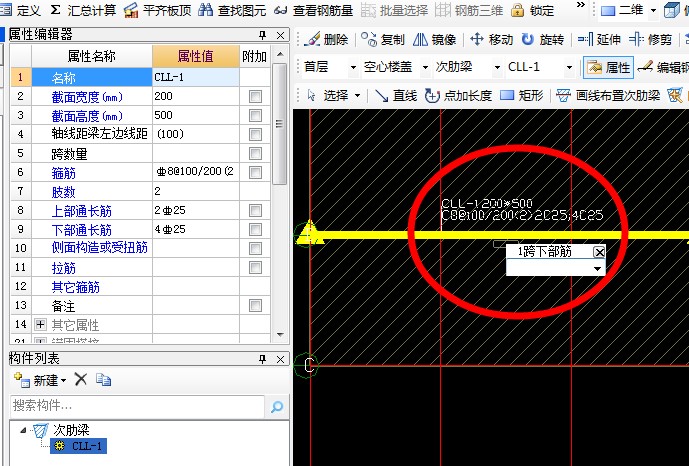肋梁