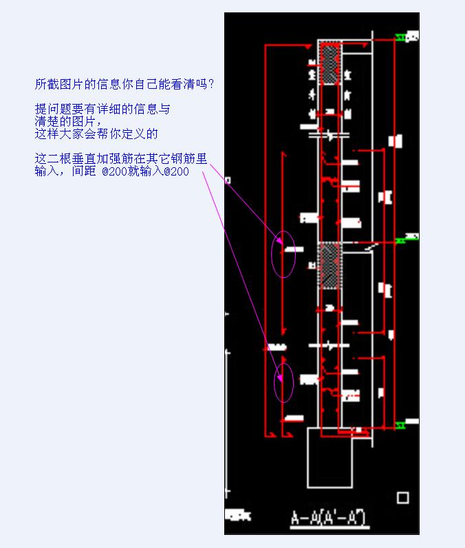 条基