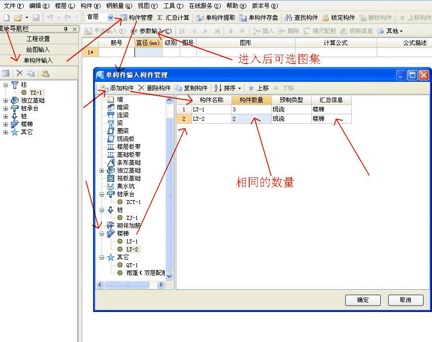放射筋