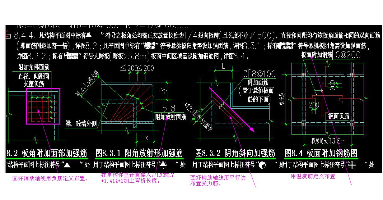 放射筋