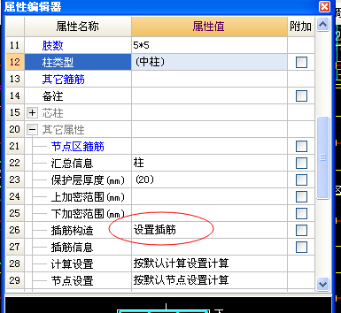 直筋