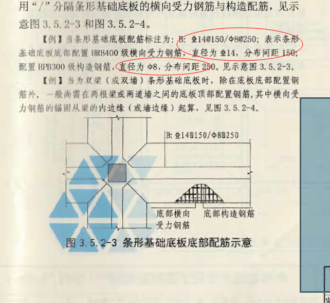分布筋