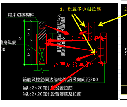 角筋