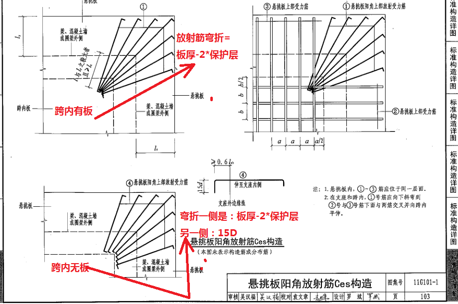 放射筋