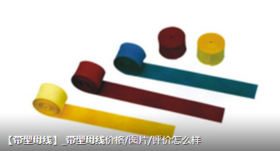 母線