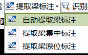 鋼筋的原位標注