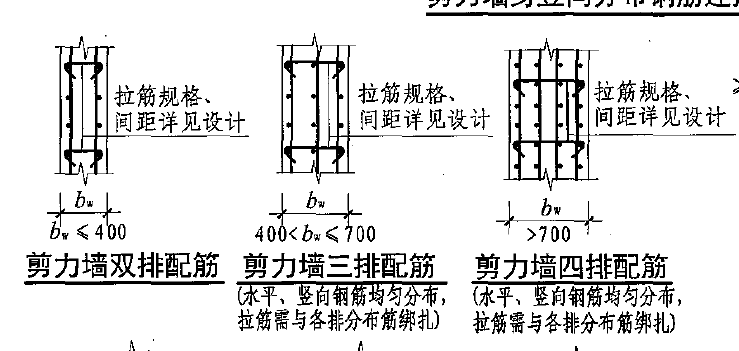垂直筋