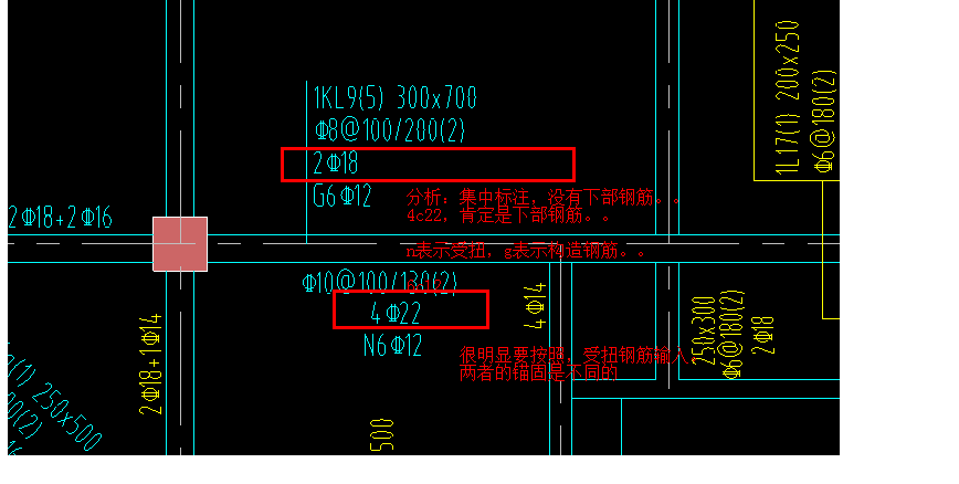 构造筋