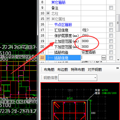 插筋