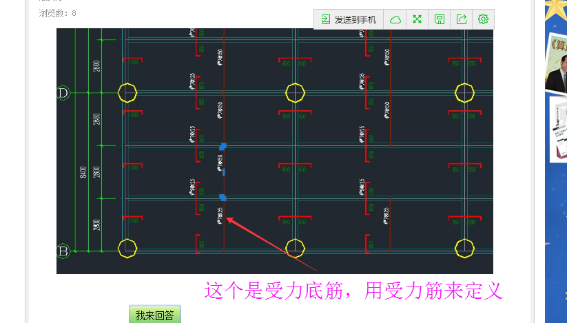 板筋