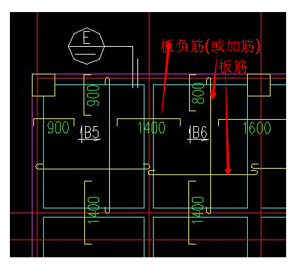 分布筋