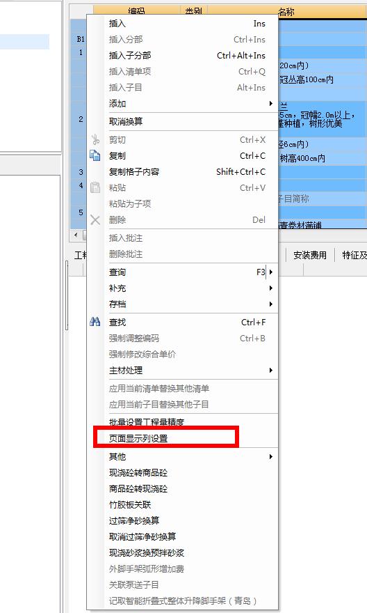 项目特征