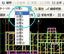 顶梁