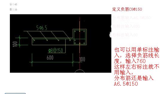 分布筋